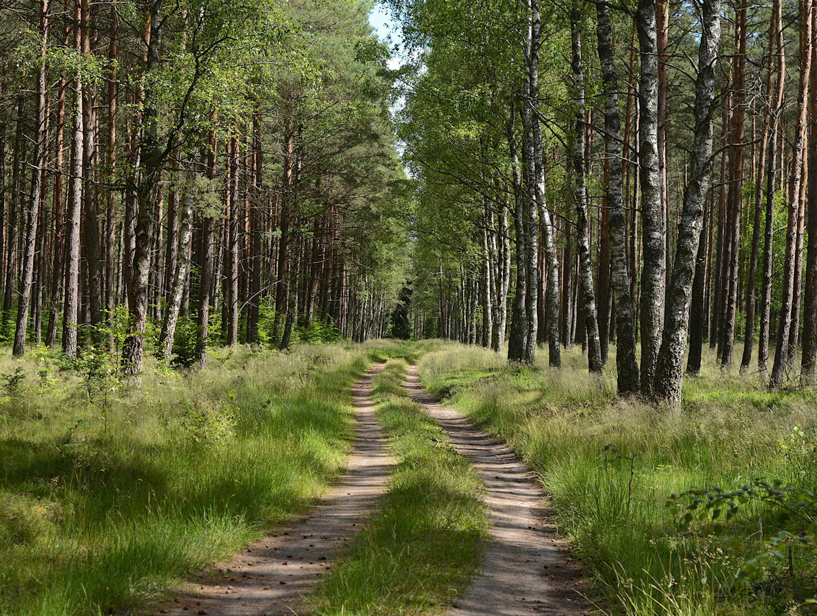 Kaszubski Park Krajobrazowy