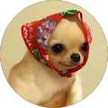 Zdjęcie profilowe Luubeckiej z Google